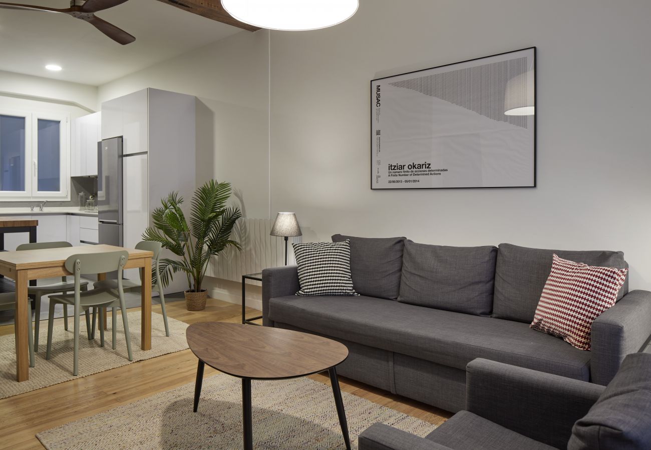 Apartamento turístico en el centro de San Sebastián 