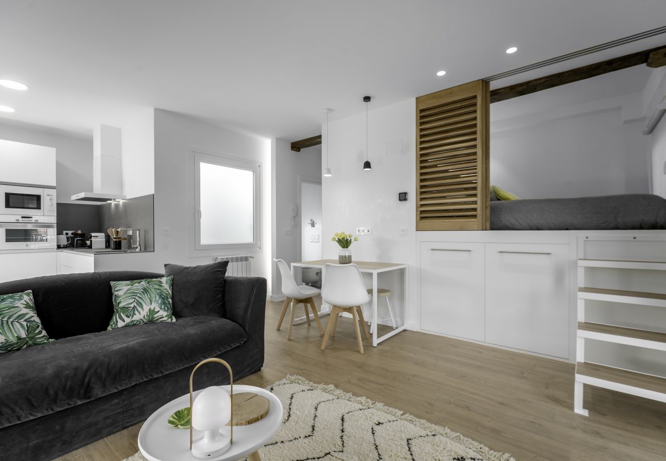 Apartamento turístico en el centro de San Sebastián